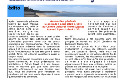 Gazette du Pyla n° 44 – été 2020